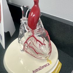 Southern California Heart Specialists - Heart display.