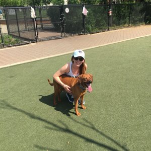 Photo of Schuylkill River Dog Run - Philadelphia, PA, United States