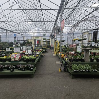 Pike Nurseries - Outside view - Nurseries & Gardening Near Me - Charlotte, North Carolina