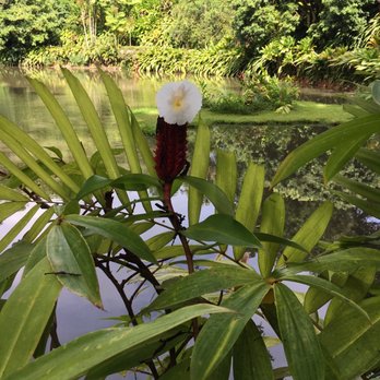 Haiku Gardens Weddings - Venues & Event Spaces Near Me - Kaneohe, Hawaii