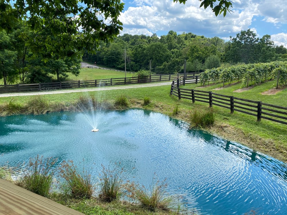 TWISTED VINE FAMILY VINEYARD Updated July 2024 14 Photos 1375