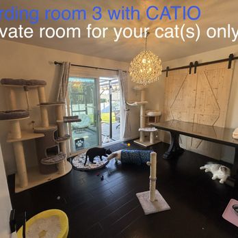 C & Y Pet Sitting Services - Boarding room 3 with catio - Pet Boarding Near Me C & Y Pet Sitting Services - Boarding room 3 with catio - Pet Boarding Near Me