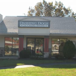 Dashing Dogs Grooming Studio