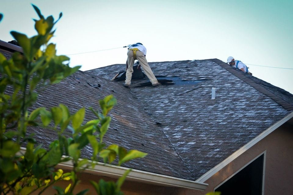 Slide of Castle Roofing