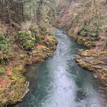 Moulton Falls Regional Park - Top of the bridge looking down - Hiking Near Me - Yacolt, Washington