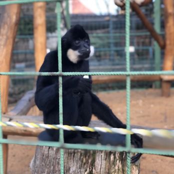 Zoo Chleby - Shopping Near Me - Bobnice, ST