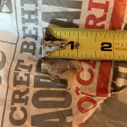 Capriotti's Sandwich Shop - one inch grisly turkey bone found in sandwich
