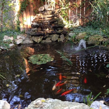 2 Wee Cottages Bed and Breakfast - Water feature behind the Granny Hein House. - Hotels Near Me - Fredericksburg, Texas 2 Wee Cottages Bed and Breakfast - Water feature behind the Granny Hein House. - Hotels Near Me - Fredericksburg, Texas