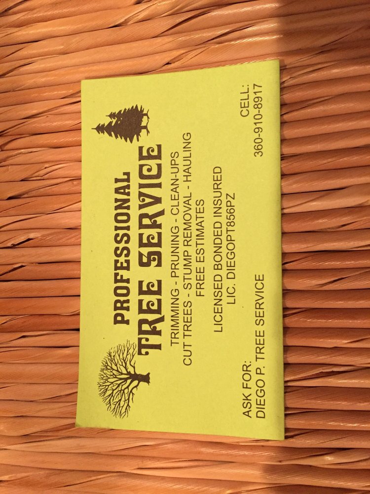 DIEGO P. TREE SERVICE Vancouver, Washington Landscaping Phone