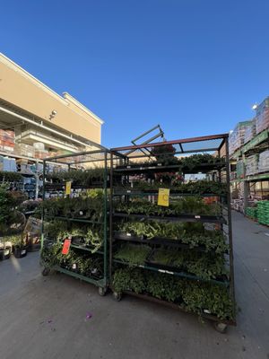 The Home Depot by null