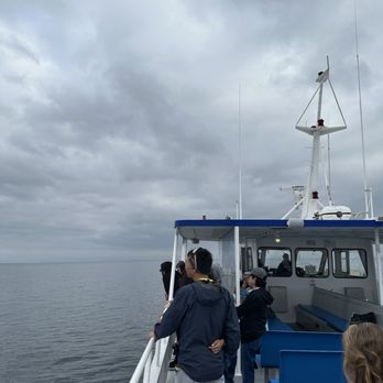 Princess Monterey Whale Watching - Whale Watching Tours Near Me - Monterey, California Princess Monterey Whale Watching - Whale Watching Tours Near Me - Monterey, California