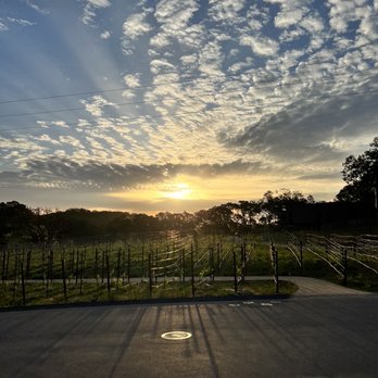 Montage Healdsburg - Vineyard - Resorts Near Me - Healdsburg, California Montage Healdsburg - Vineyard - Resorts Near Me - Healdsburg, California