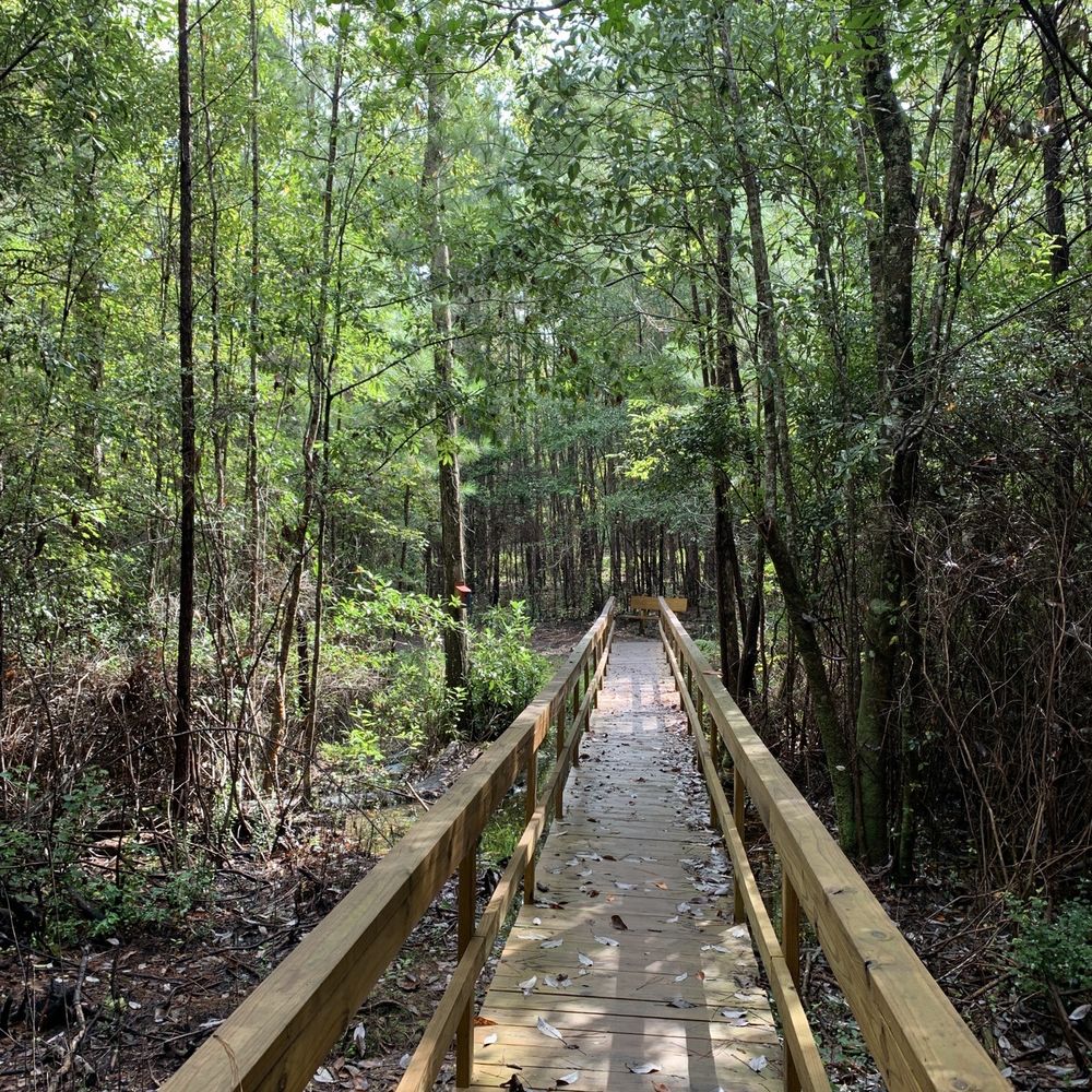 Clarkco State Park - Hiking trail leading to small creek with benches. - Parks Near Me - Quitman, Mississippi