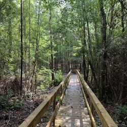 Clarkco State Park - Hiking trail leading to small creek with benches.