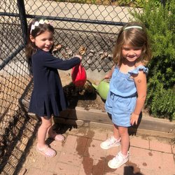 Madrone Montessori School