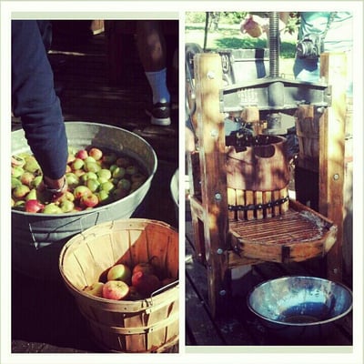 Willowbrook Apple Farm by null