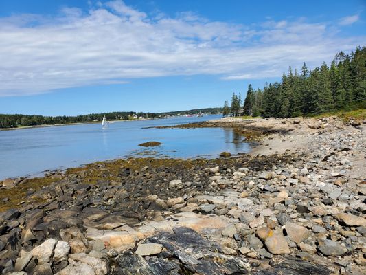 Marshall Point Lighthouse & Museum by null