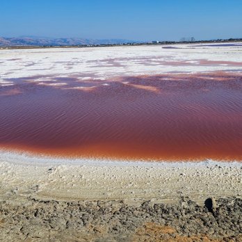 Alviso Marina County Park - Parks Near Me - Alviso, California