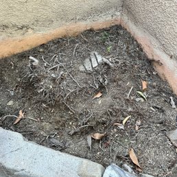 Before and after pictures. Before and after pictures.