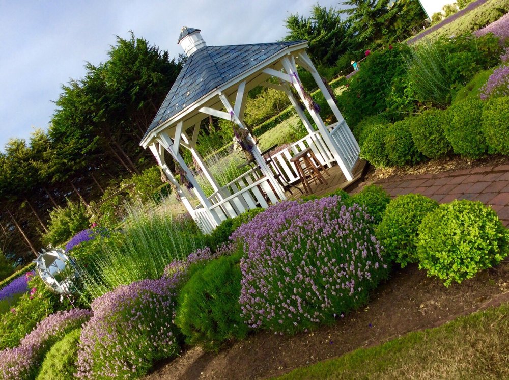 Kitty B's Lavender Farm - beekeeping in Sequim, WA