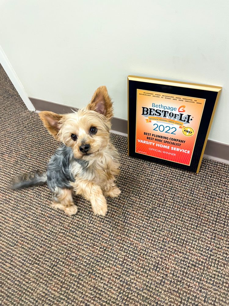 Slide of Varsity Home Service