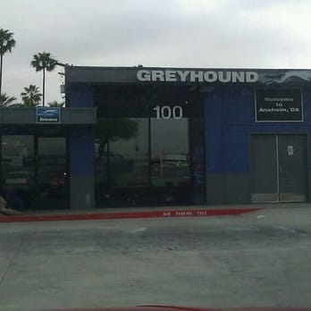 Greyhound Bus Lines - We got there 20 minutes before it was to open.  This is what we saw from the parking lot. - Transportation Near Me - Santa Ana, California