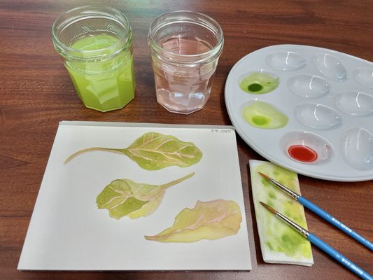 North Seattle College by null