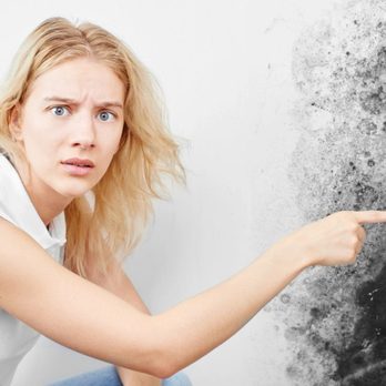 Precision Mold Restoration - Damage Restoration Near Me - Cape Coral, Florida Precision Mold Restoration - Damage Restoration Near Me - Cape Coral, Florida