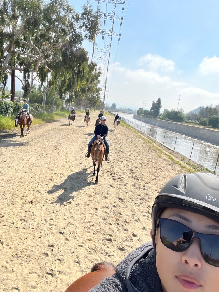The Riding Coach - equestrian in Glendale, CA