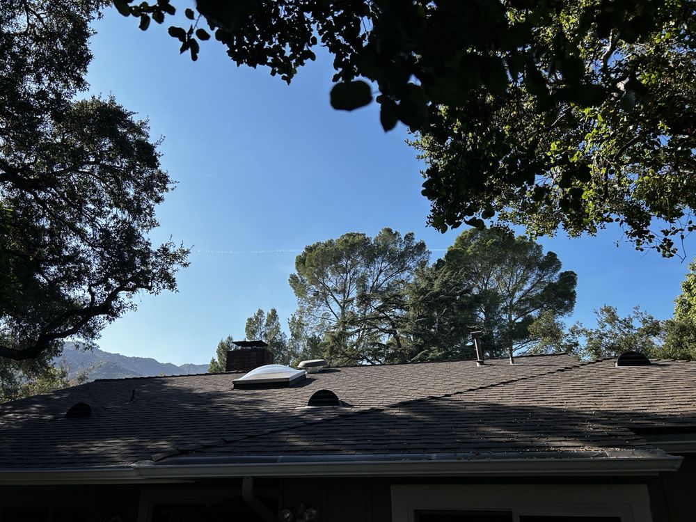 Slide of Antique Roofing