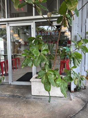 Andiamo! Brick Oven Pizza by null