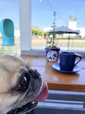 El Culichi - Birriería y Cenaduría by null