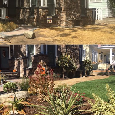 Before & Afters - Here is a collection of some before and after photos over the years. Before & Afters - Here is a collection of some before and after photos over the years.