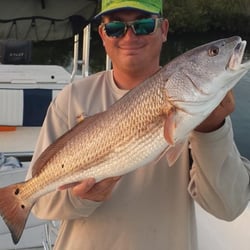 Homosassa Offshore Charters