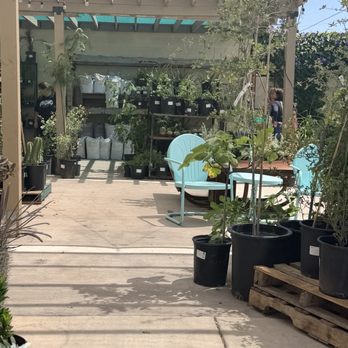 Mojave Bloom Nursery - Home Decor Near Me - Las Vegas, Nevada Mojave Bloom Nursery - Home Decor Near Me - Las Vegas, Nevada
