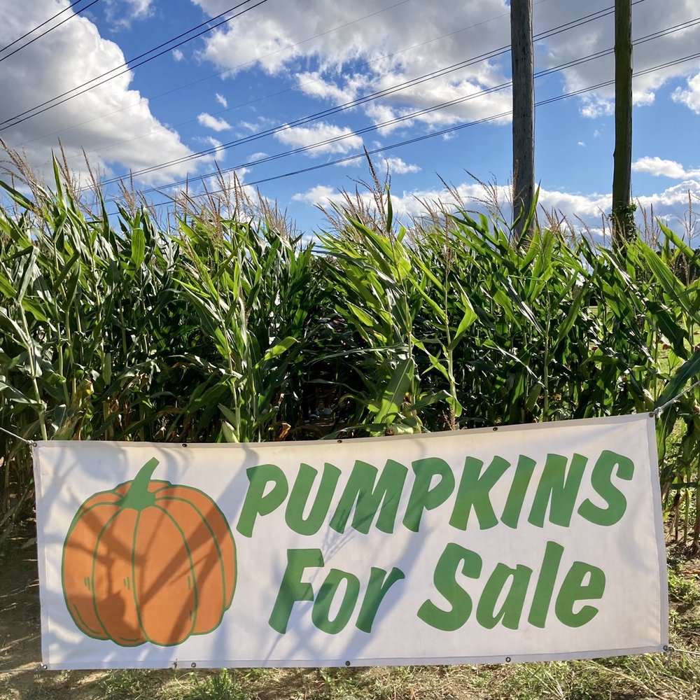Four Town Farm - Pumpkins - Fruits & Veggies Near Me - Seekonk, Massachusetts