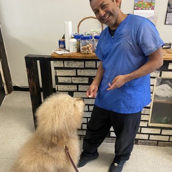 Kimi's K9 Kastle - Eric was so kind and Murphy loved the post grooming treats - Pet Groomers Near Me - San Marino, California Kimi's K9 Kastle - Eric was so kind and Murphy loved the post grooming treats - Pet Groomers Near Me - San Marino, California