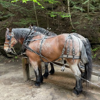 Lost Canyon Tours - Amusement Parks Near Me - Wisconsin Dells, Wisconsin