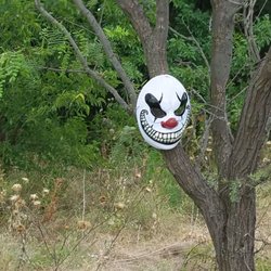 An ICP fan must left this on the trail. The trail is well decorated and has some inviting park benches.