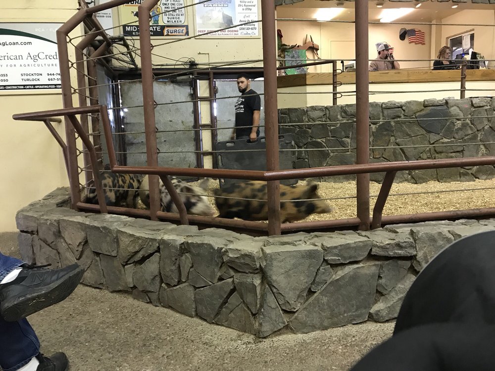 ESCALON LIVESTOCK MARKET Updated September 2024 10 Photos 25525