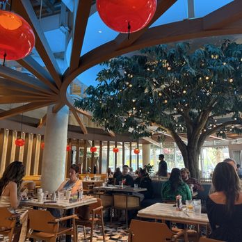 Carcara - Dining room - Lounges Near Me - Phoenix, Arizona