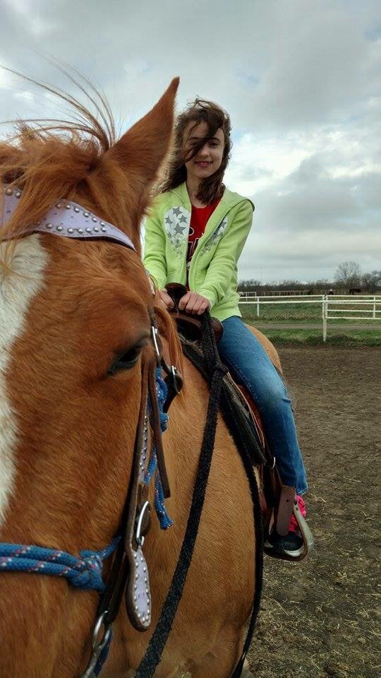 Twisted Pine Equine Center - equestrian in Topeka, KS