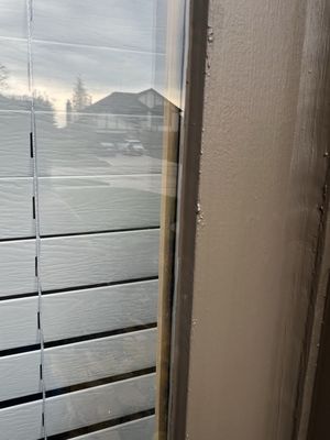 Independent Window Repair