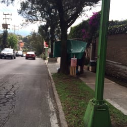Fruta Monte Líbano