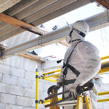 Mold R Us - Damage Restoration Near Me - Hollywood, Florida Mold R Us - Damage Restoration Near Me - Hollywood, Florida