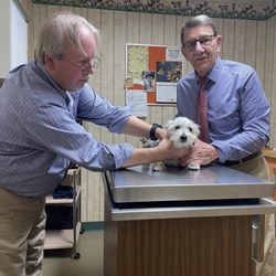 Colonial Animal Hospital