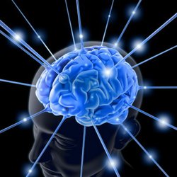 Vitanya Wellness Center - Brain speed is the key!