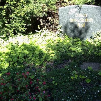 Westfriedhof - Funeral Services & Cemeteries Near Me - Magdeburg, ST