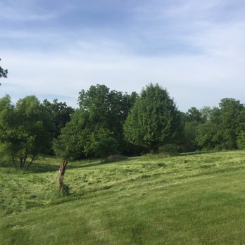 Mayfield's Backhoe Service And Stump Grinding - Brush hog before - Excavation Services Near Me Mayfield's Backhoe Service And Stump Grinding - Brush hog before - Excavation Services Near Me
