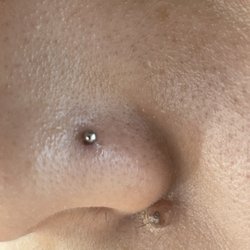 Studio 66 Piercing